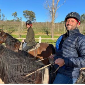 Cape Winelands Horse Riding. Guided horseback riding tour through scenic Cape Winelands vineyards and mountains.
