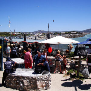die strandloper langebaan