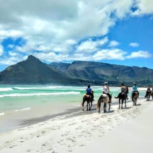 Horse Riding - Noordhoek