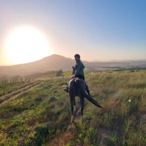 Horse Riding & Wine Tasting