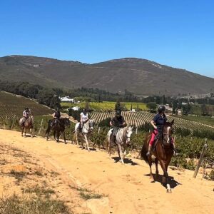 Horse Riding - Franschhoek
