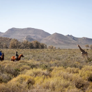 Aquila Horseback Safari