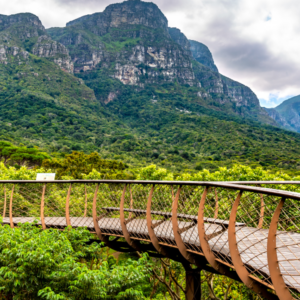 Private Kirstenbosch Gardens Tour