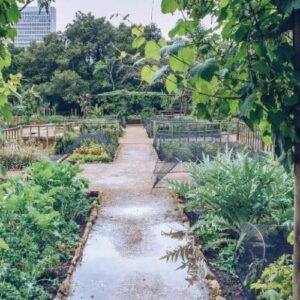 Company Gardens